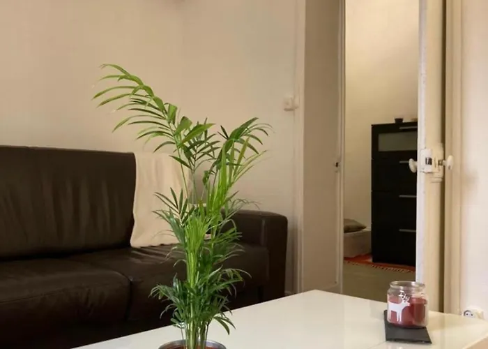 Saint Paul - Charming